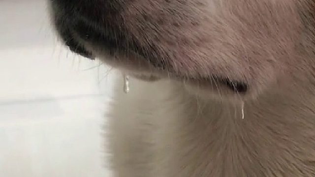 不争气的泪水从嘴角流了出来