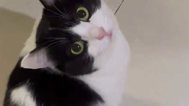 孩子都这么大了还不会说话，这可怎么办呀！