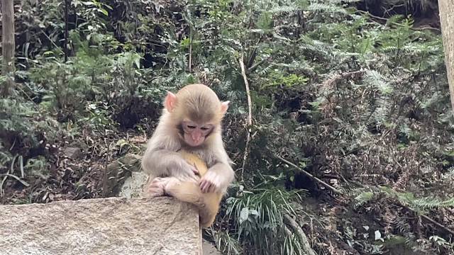 张家界之旅