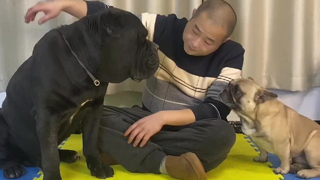 打架没赢过，气势没输过