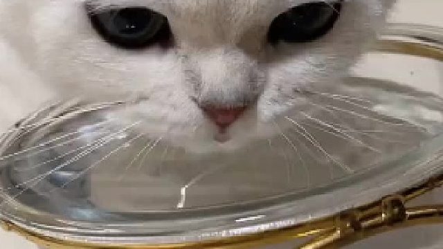 喝个水，还骂骂咧咧的