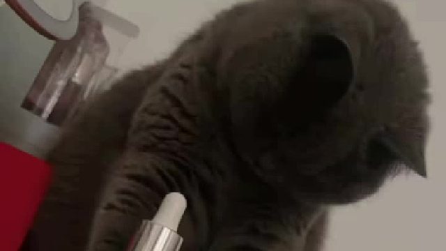 被发现了，它还知道推回去