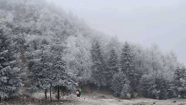 下雪了