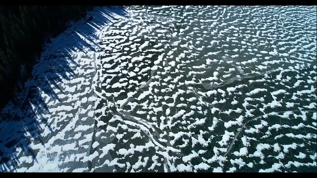 相思是病唯有你是解药