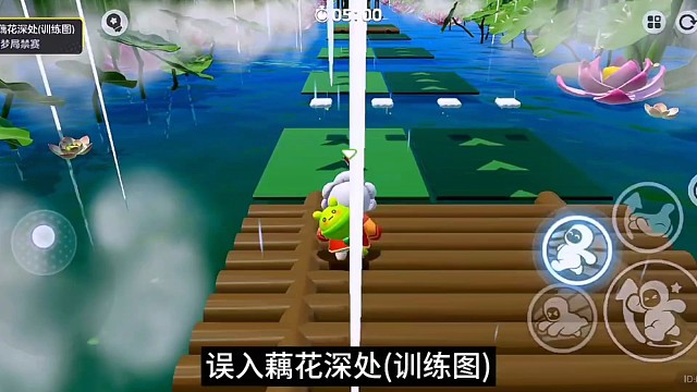 误入藕花深处（训练图）