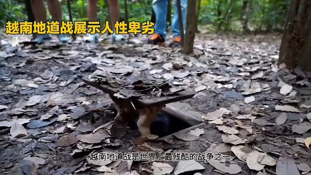 越南地道战展示人性卑劣