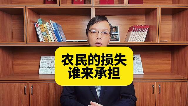 农民的损失，谁来承担？