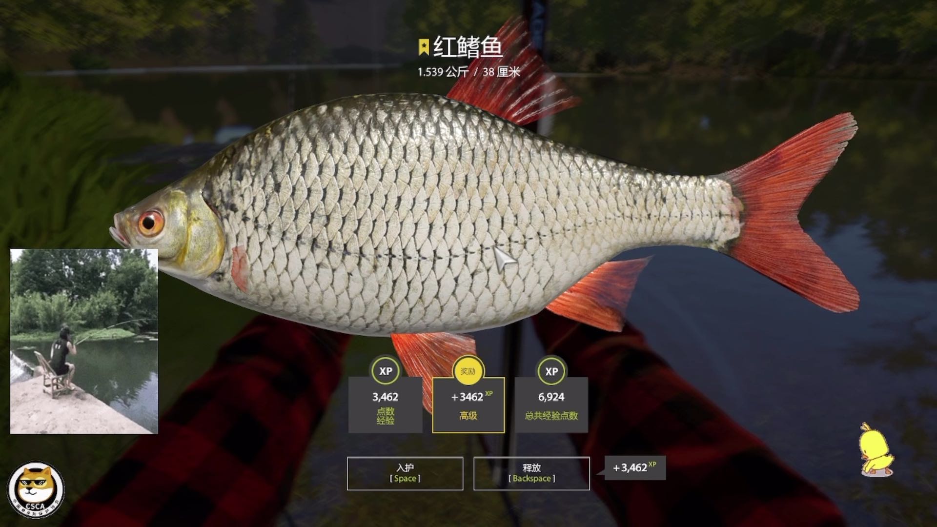 ㊗️：星红鳍鱼，100➕1星