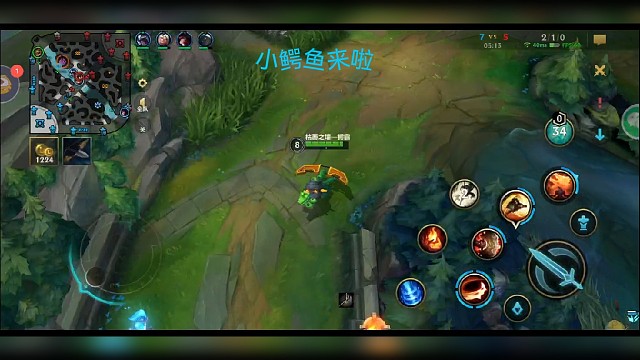 小小鳄鱼，大杀四方