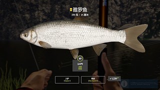 12圖白河–星雅羅魚，白河漁夫完成。整體還算輕松