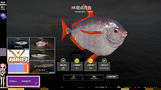 又一條月亮