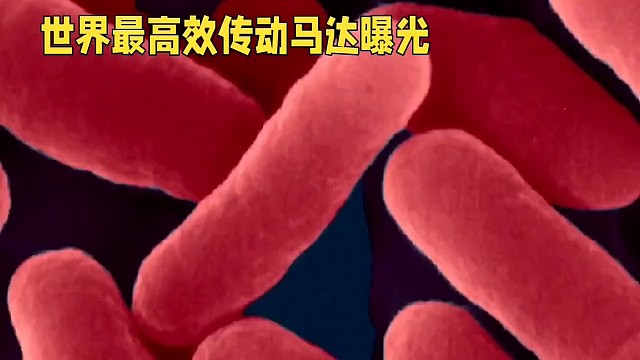 世界最高效的传动马达曝光