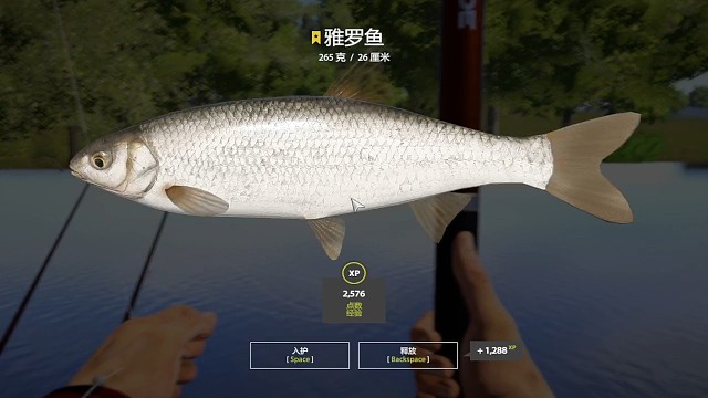 22图北顿渔夫图鉴-星雅罗，又又是蹲黑海欧白附赠，这个点雅罗很多，公屏全星雅罗，可蹲。有人一小时3星