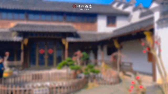 阳光正好，有你更好。