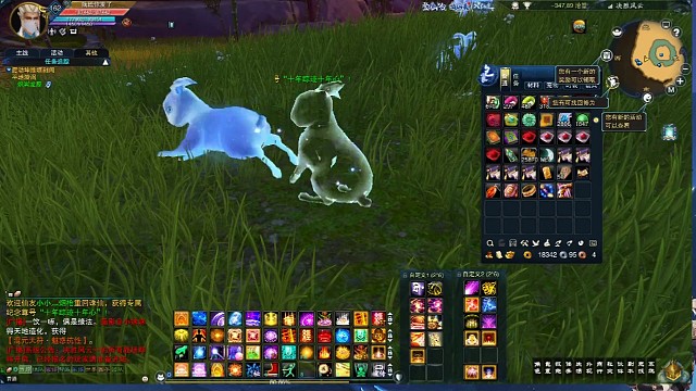 这个声音太吓兔子了，把兔子的魂都吓到原地呆住了