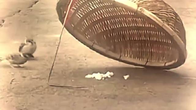 母爱情深似海啊！