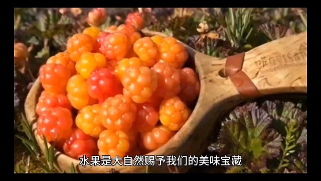 一天一个养生小知识