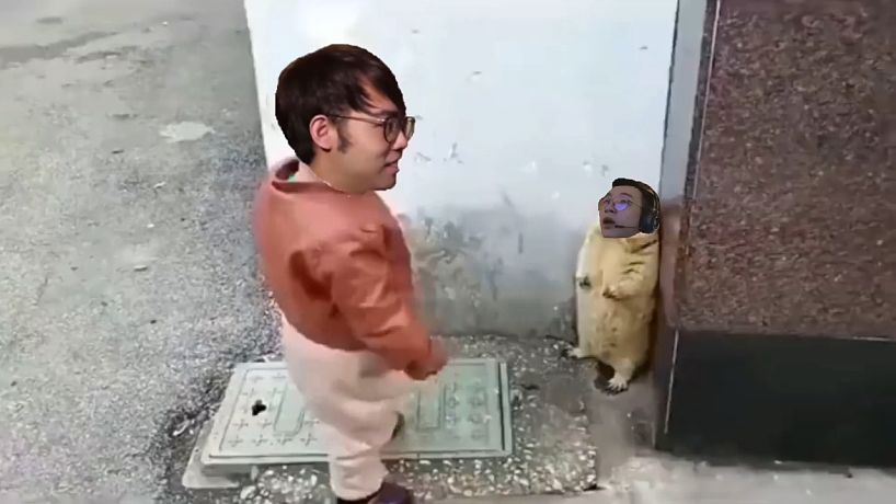 拷打一只XM