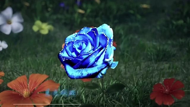 蔡文姬不能受委屈