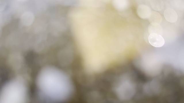 治愈你的不仅仅是歌还有浪花