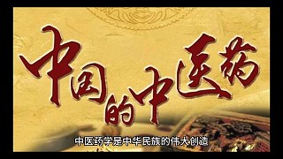 中醫(yī)藥對(duì)世界文明進(jìn)步產(chǎn)生了積極影響