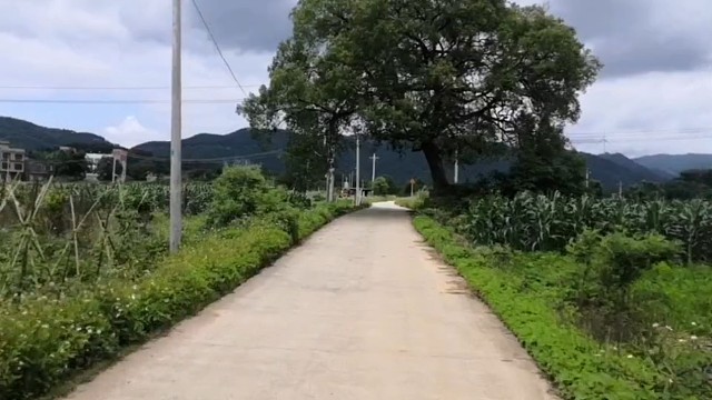 想起我小时候读书的路