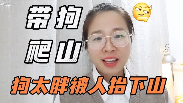 这肥是一丁点都减不了了，狗狗爬山减肥被人抬下山