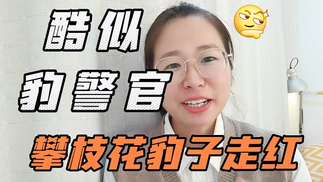 酷似疯狂动物城豹警官，攀枝花豹子走红。