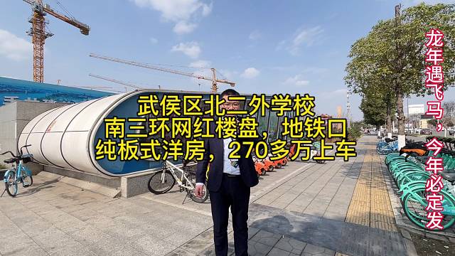 武侯区北二外学校
南三环楼盘，地铁口
纯板式洋房，270多万上车
纯清水洋房，134至143平