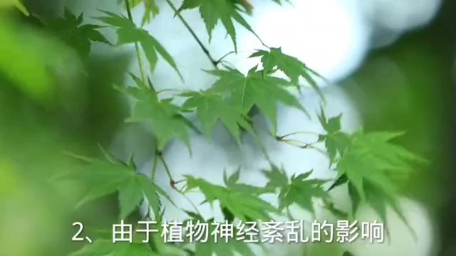 植物神经紊乱的表现