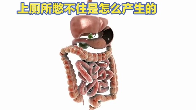 上厕所憋不住的原理是什么？