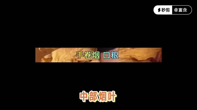 烟丝 卷烟机 烟管