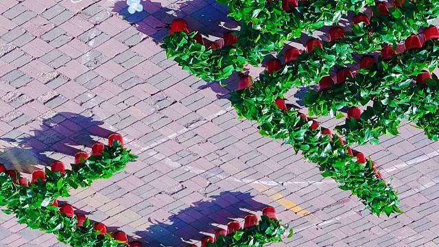 祝大家考研考公考编都能上岸