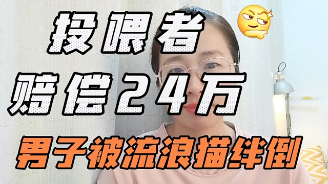 男子被流浪猫绊倒投喂者赔24万