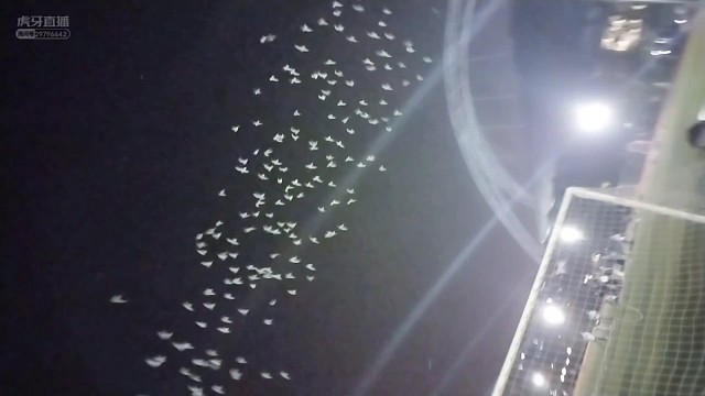 上海工大操场夜氛围唱歌浪漫瞬间~