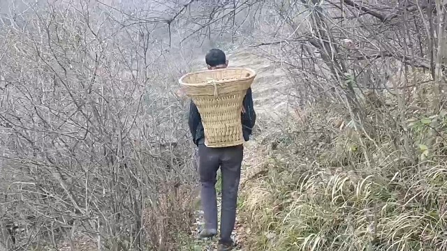 大自然搬运工的一天