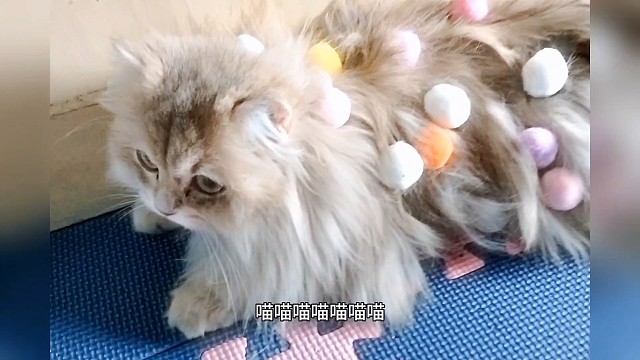 被喵喵喵喵喵喵洗脑了