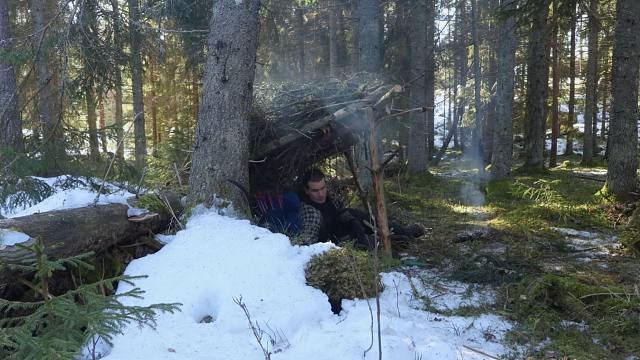 野外的雪地森林有些寒冷，不过我并不怕，我还要用松树枝搭建庇护所