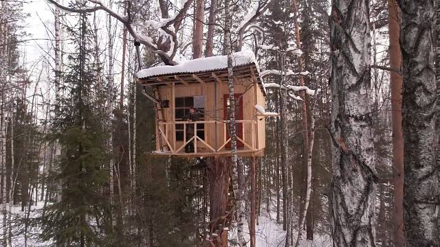 在森林的树上建造雪屋，把它装修奢华居住，是一种什么神仙体验？