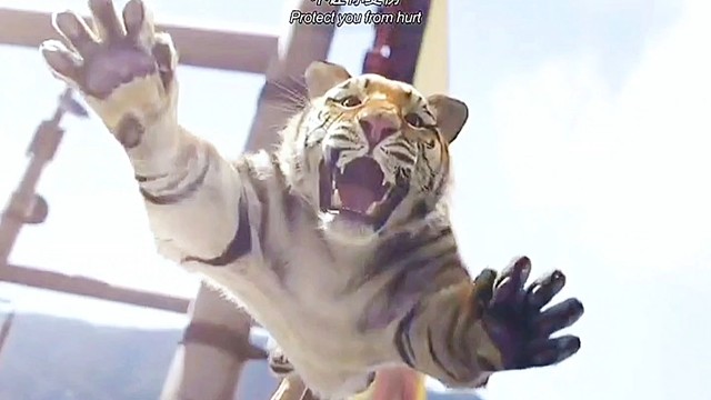 你在危险的时候 妈妈永远保护你的 万物皆有灵性 一只老虎感动了所有人