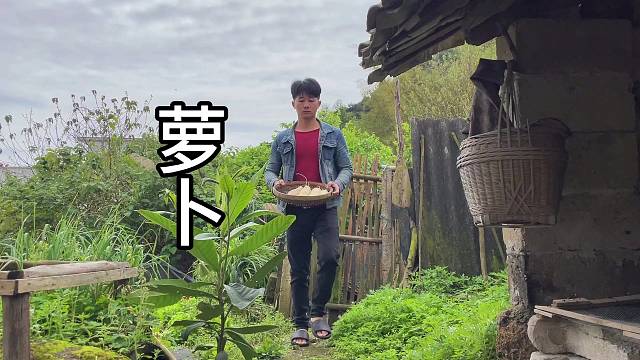 酸萝卜泡一天就可以吃，酸辣脆爽，做法也很簡單