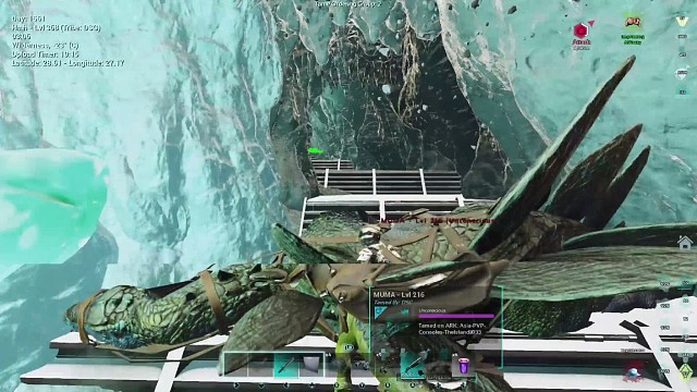 Xbox千通官服 DSG部落 第一只2000攻肿头龙！