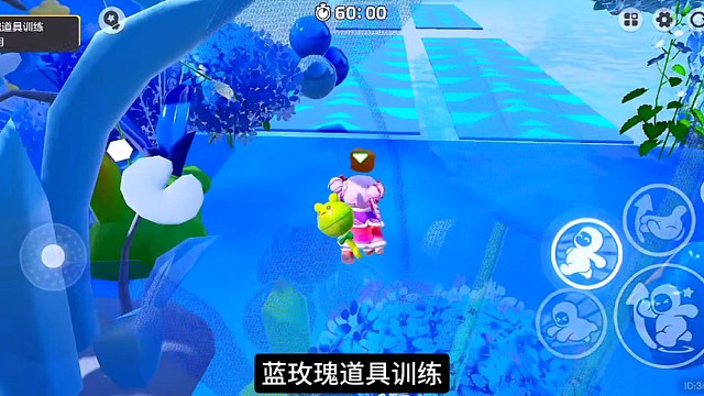 蓝玫瑰道具训练