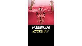 掉進(jìn)納特龍湖會(huì)發(fā)生什么？