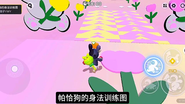 帕恰狗的身法训练图