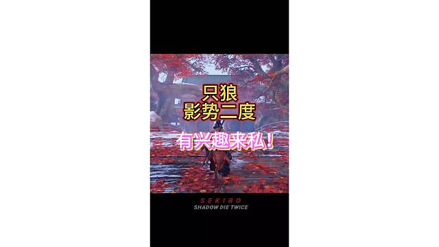 二十几块的只狼你确定不来体验一下？