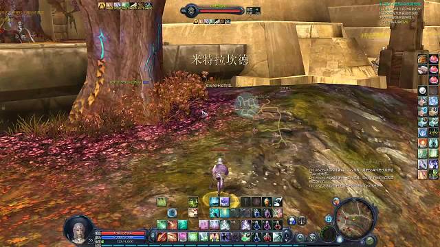 11区天族：新区特色真好玩，开区三天打帕德