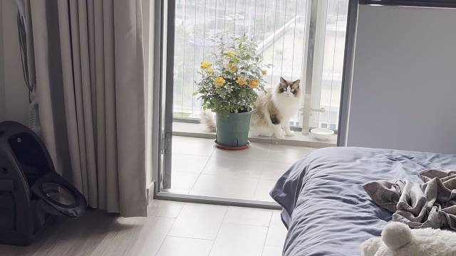 敢动我的花试试