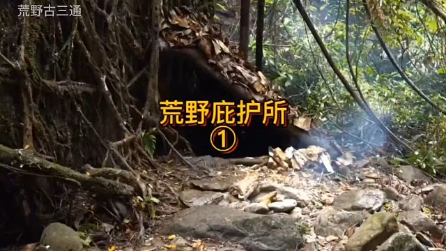这样的庇护所可以遮挡风雨，你敢信？