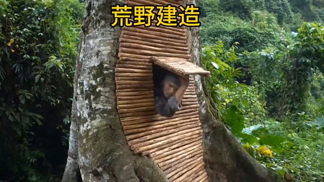 荒野建造天花板